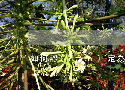 如何認(rèn)定為虛假的工程招標(biāo)