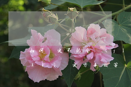 如何認定不配合醫(yī)療事故技術(shù)鑒定方事故等級和責(zé)任程度