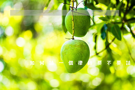 如何請一個律師(要不要請律師)