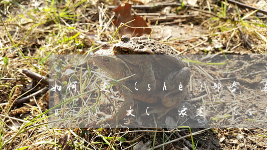 如何請建設(shè)部咨詢法律法規(guī)條文(國家建設(shè)部出臺的規(guī)定能否作為法律依據(jù))