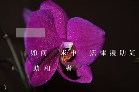 如何請求申請法律援助,如何請求申請法律援助和記者 如何請求申請法律援助,如何請求申請法律援助和記者