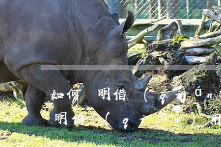 如何證明借錢(qián)用于賭博，怎么證明借錢(qián)用于賭博
