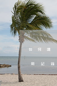 如何識別信用卡逾期記錄(如何查看信用卡逾期記錄)