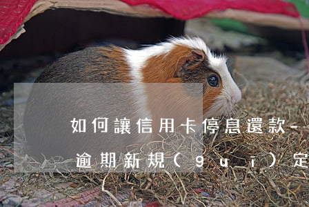 如何讓信用卡停息還款-2022年信用卡逾期新規(guī)定