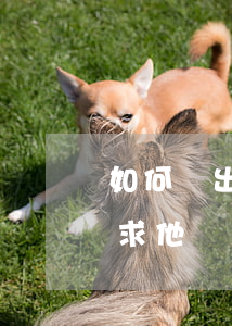 如何讓出軌老公凈身出戶(老公出軌我可以要求他凈身出戶嗎)