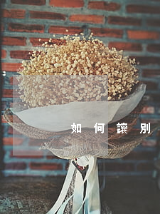 如何讓別人和我離婚(怎么讓他離婚和我一起)