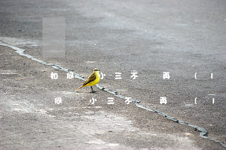 如何讓小三不會再聯(lián)系老公，如何讓小三不會再聯(lián)系老公一封信