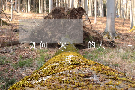 如何讓欠網貸的人還錢-如何讓欠網貸的人還錢給我