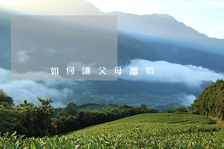 如何讓父母離婚