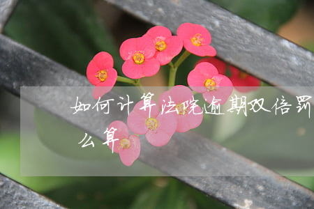 如何计算法院逾期双倍罚息 法院罚金逾期怎么算