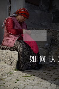 如何认定严重安全性能故障
