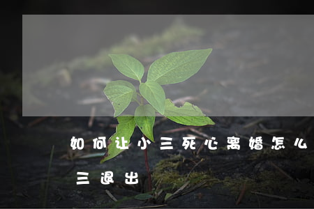 如何让小三死心离婚(怎么分离小三怎么让小三退出)