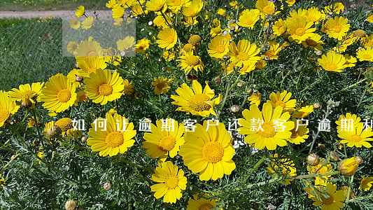如何让逾期客户还款(客户逾期利息怎么做账)