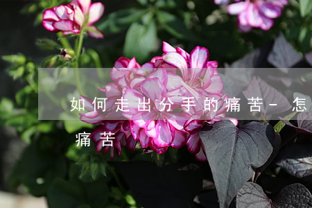 如何走出分手的痛苦-怎么才能走出分手的痛苦