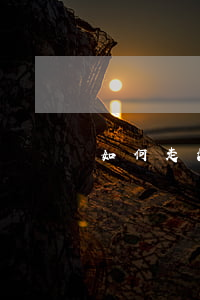 如何走法律程序,如何走法律程序離婚 如何走法律程序,如何走法律程序離婚