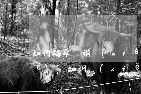 如何起草離婚協(xié)議，離婚協(xié)議如何寫(xiě)
