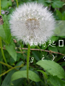如何起訴一個(gè)公司(如何起訴一個(gè)公司需要什么資料)