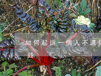如何起訴一個人不還錢,怎么起訴一個人不還錢 如何起訴一個人不還錢,怎么起訴一個人不還錢