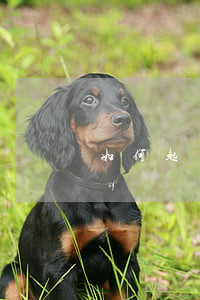 如何起訴一個人欠錢(如何起訴一個人欠錢)