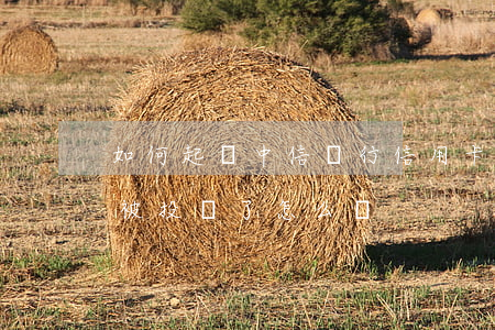 如何起訴中信銀行信用卡（中信信用卡逾期要被投訴了怎么辦）