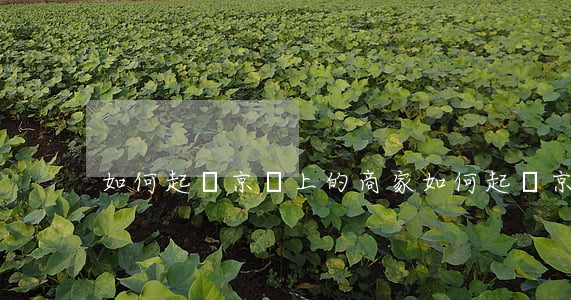 如何起訴京東上的商家(如何起訴京東賣家)