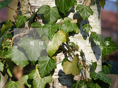 如何起訴京東和商家