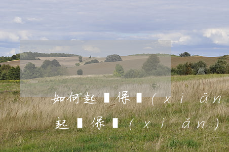 如何起訴保險(xiǎn)公司不理賠，如何起訴保險(xiǎn)公司不理賠起訴保險(xiǎn)公司起訴訴狀