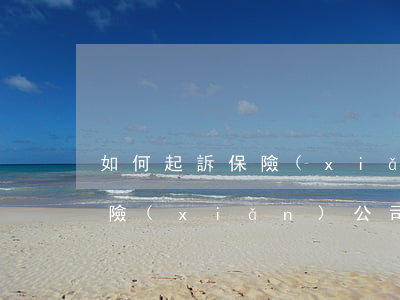 如何起訴保險(xiǎn)公司(如何起訴保險(xiǎn)公司不理賠起訴保險(xiǎn)公司起訴訴狀)