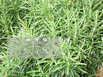 如何起訴保險(xiǎn)公司(如何起訴保險(xiǎn)公司流程材料交通事故處理)
