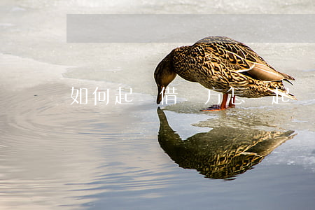 如何起訴借錢方(怎樣起訴借錢不還的人?)