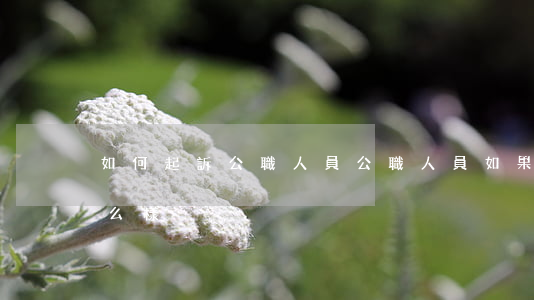 如何起訴公職人員(公職人員如果被起訴會怎么樣)