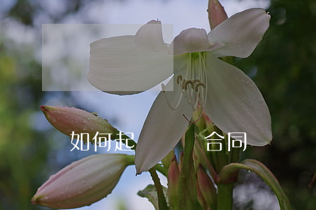 如何起訴勞動合同糾紛