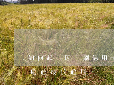 如何起訴因盜刷信用卡逾期(被信用卡詐騙盜刷造成的逾期)