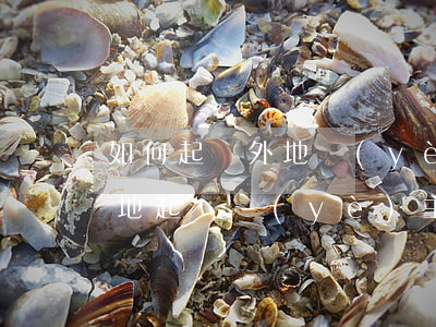 如何起訴外地業(yè)主，物業(yè)異地起訴業(yè)主
