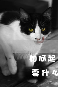 如何起訴微信借錢不還(起訴微信借錢不還需要什么證據(jù))