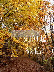 如何起訴微信聯(lián)系人 如何起訴微信聯(lián)系人詐騙