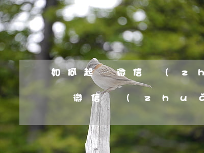 如何起訴微信轉(zhuǎn)錯賬(如何起訴微信轉(zhuǎn)錯賬)