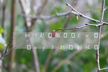 如何起訴微貸網(wǎng)-微貸網(wǎng)起訴到攸縣