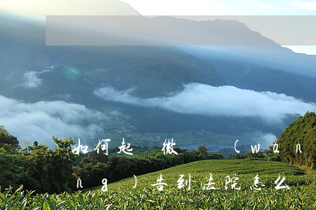 如何起訴微貸網(wǎng) 微貸網(wǎng)告到法院怎么辦