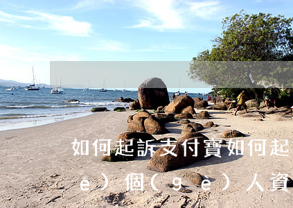 如何起訴支付寶(如何起訴支付寶凍結(jié)個(gè)人資金)