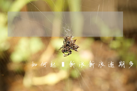 如何起訴新浪（新浪逾期多久會被起訴）