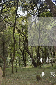 如何起訴朋友欠錢(qián)不還 怎么起訴朋友