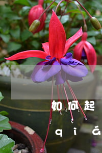 如何起訴欠錢(qián)不還的人(借錢(qián)不還起訴流程)