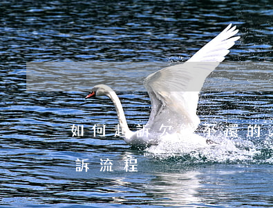 如何起訴欠錢不還的人流程(欠錢不還怎么起訴流程)