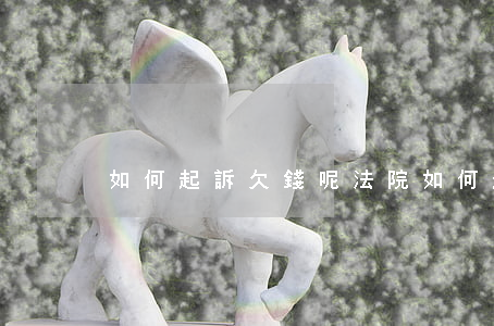 如何起訴欠錢呢法院（如何起訴欠錢呢）