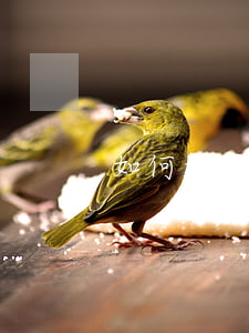 如何起訴欠錢的(如何起訴欠錢不還的人流程)