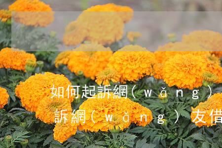 如何起訴網(wǎng)友借錢不還 如何起訴網(wǎng)友借錢不還的人