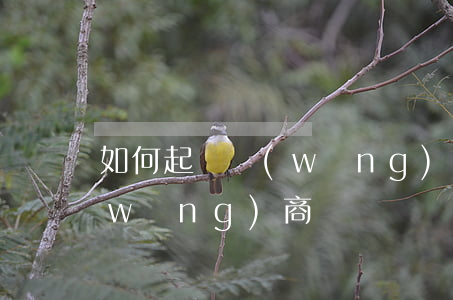 如何起訴網(wǎng)商貸（如何起訴網(wǎng)商貸）