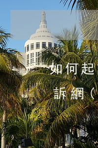 如何起訴網(wǎng)貸app-如何起訴網(wǎng)貸公司平臺(tái)