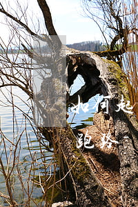 如何起訴網(wǎng)貸平臺(tái)跑路-如何起訴網(wǎng)貸平臺(tái)跑路的案例